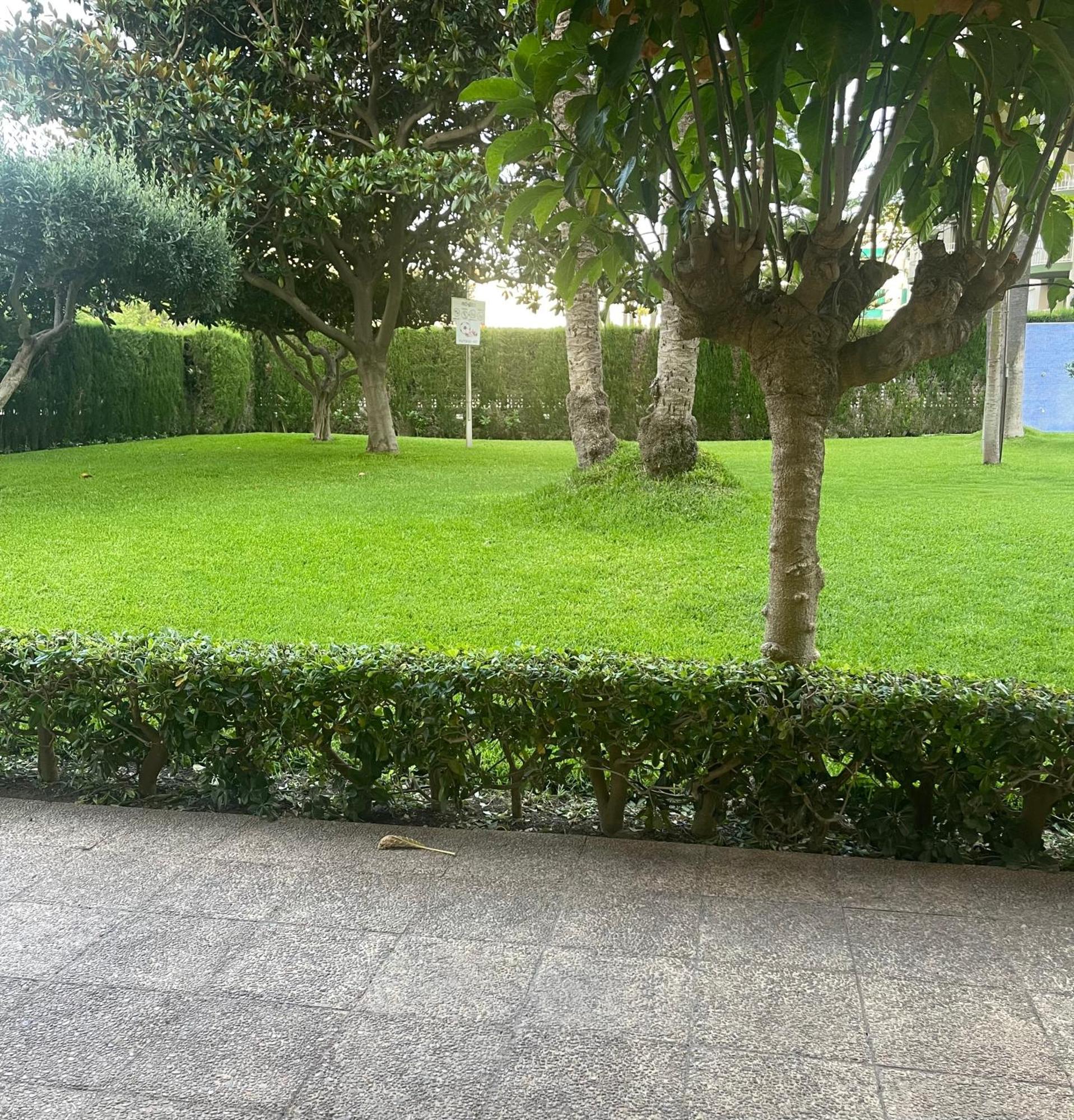Apartment Parque V - Playa- Familiar *
